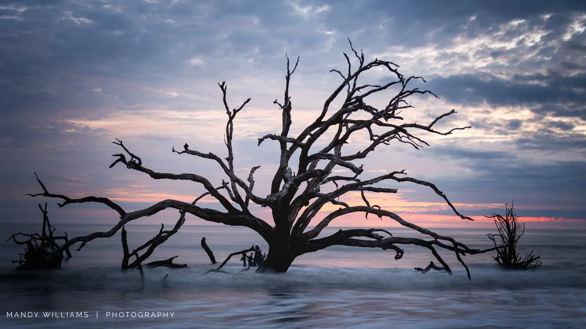 Still Standing
