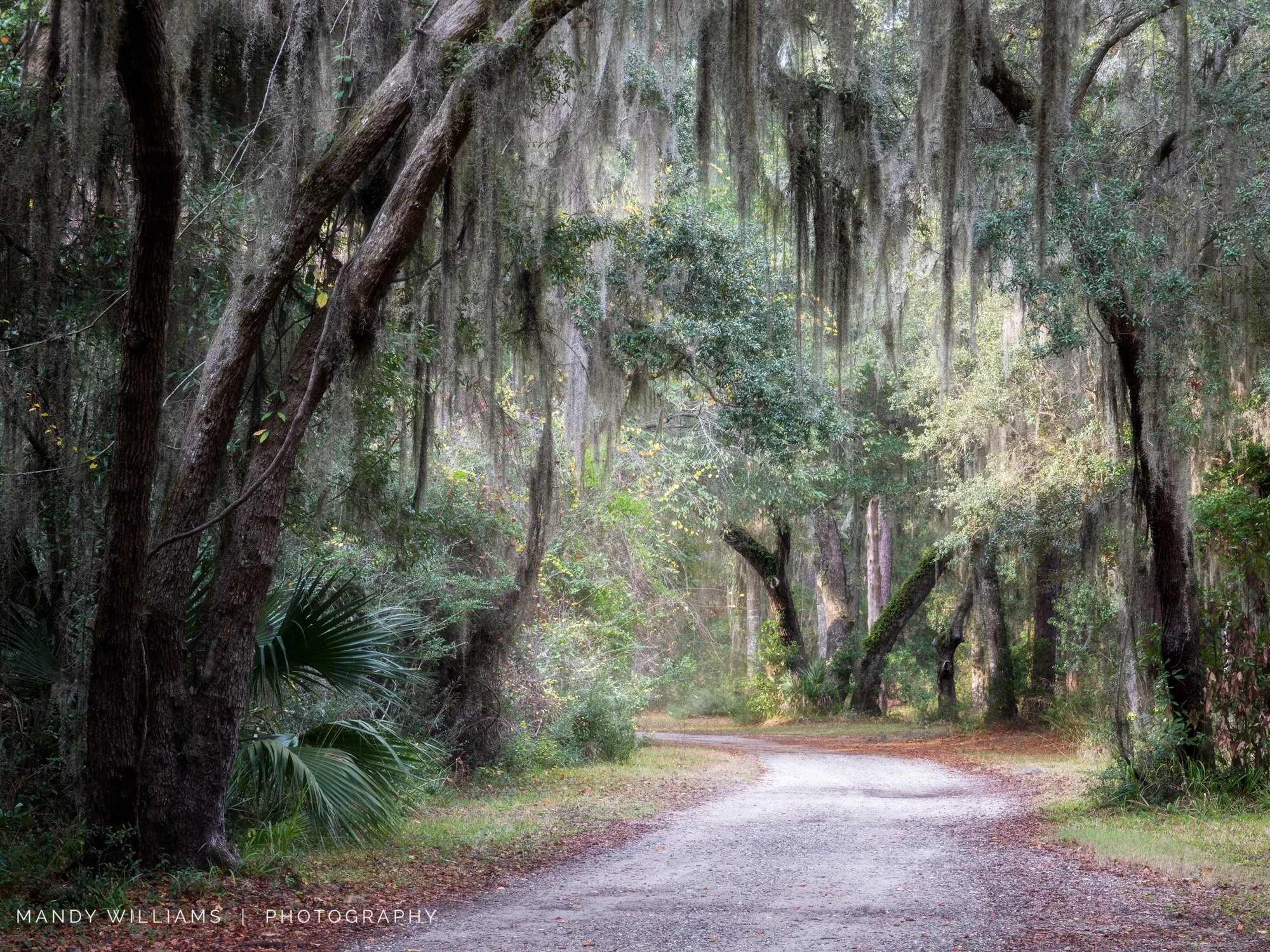 Dirt Roads Lead....