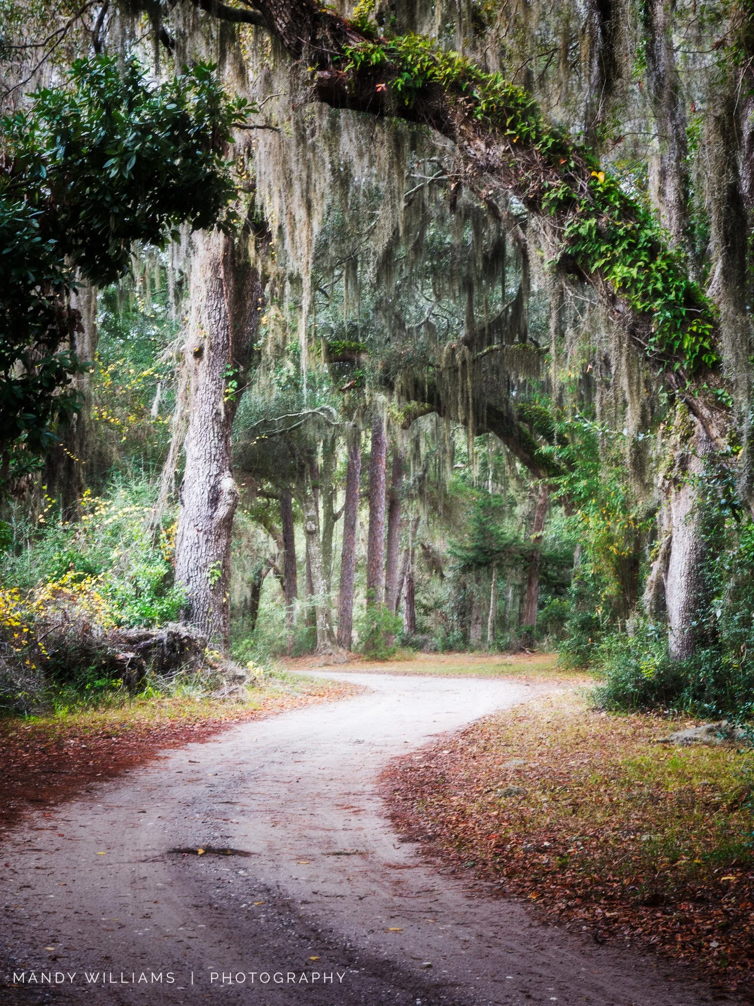 The Road Less Traveled