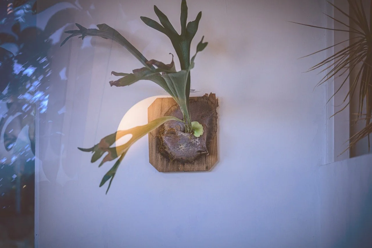 original file-033 Large.jpeg