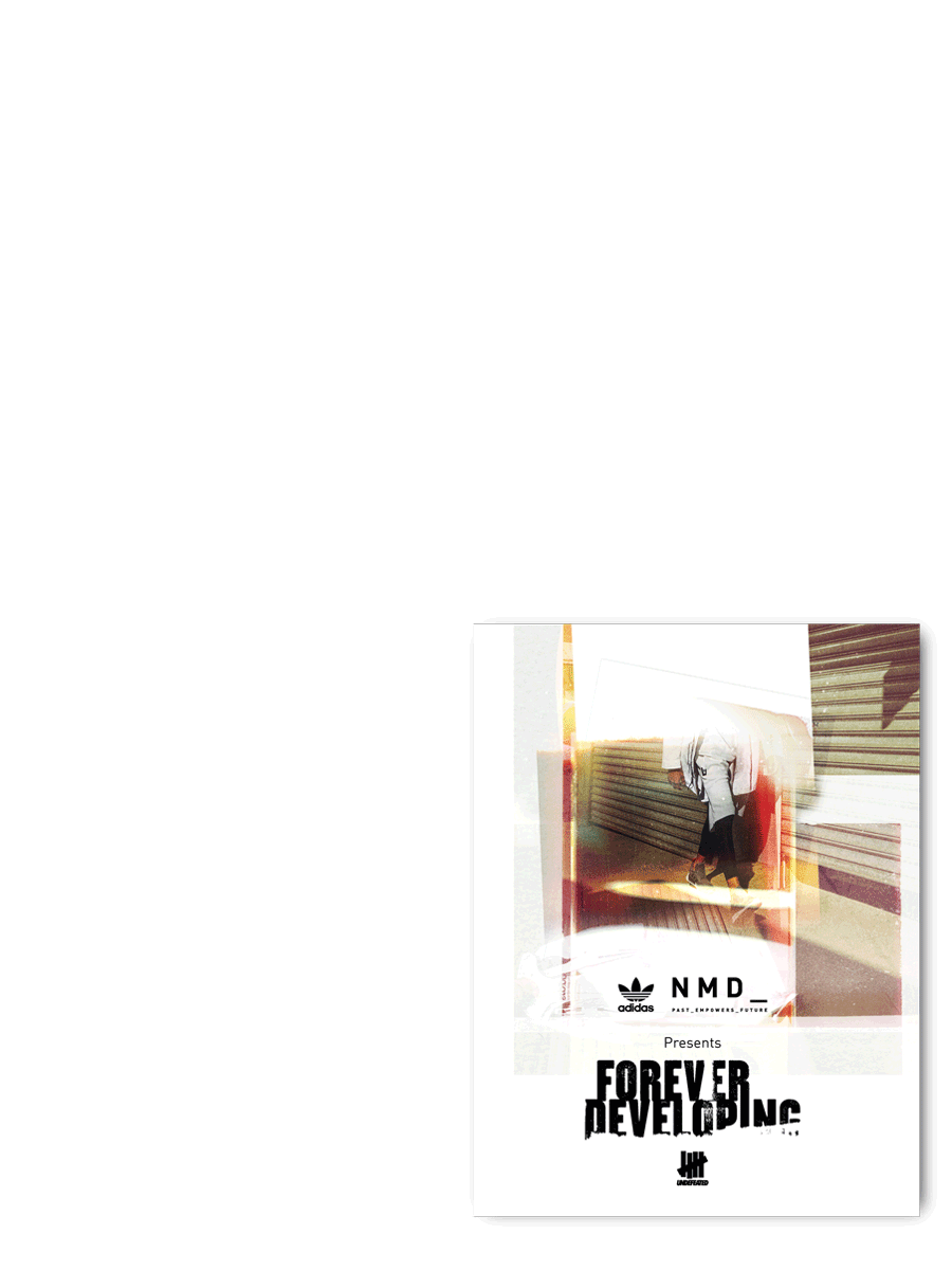 FD-Foldout-Booklet-Poster-Animation.gif