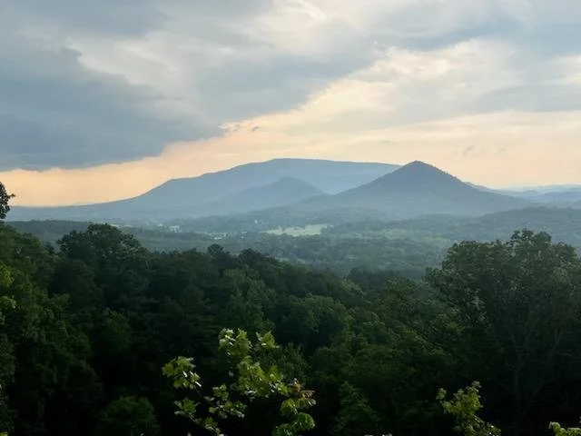 A scenic view of green forested hills with mountains in the background under a cloudy sky.