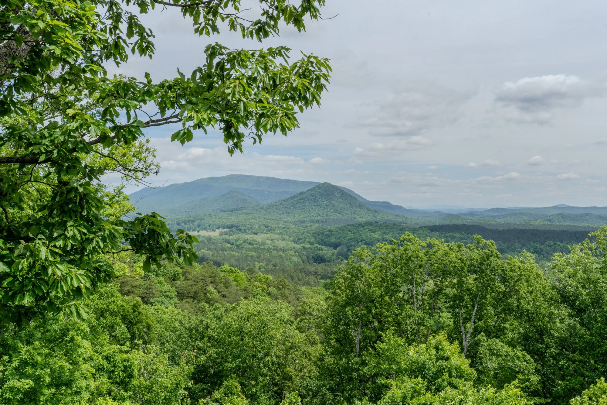 Cabin2Views-3.jpg