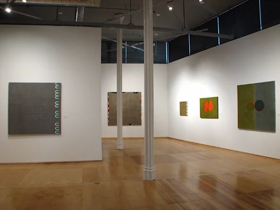 Hallwalls Installation View