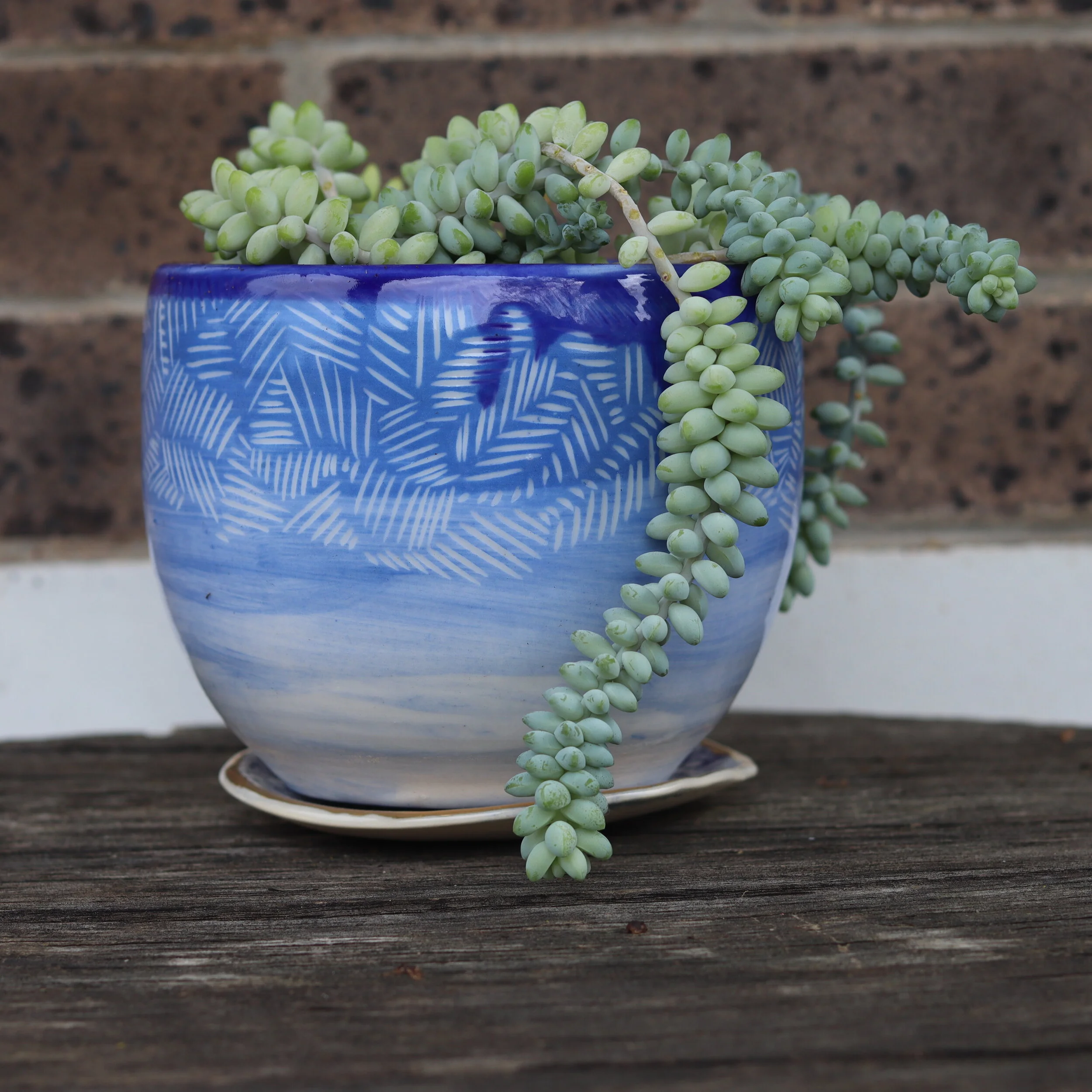 Handmade Planter with Succulent