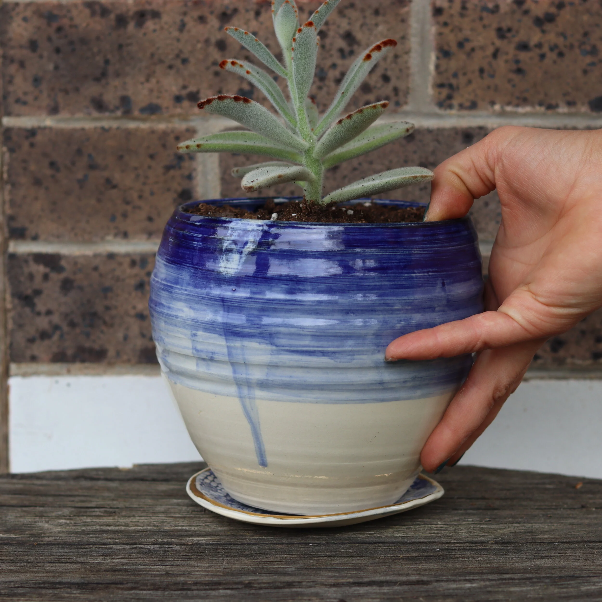 Handmade Planter with Succulent