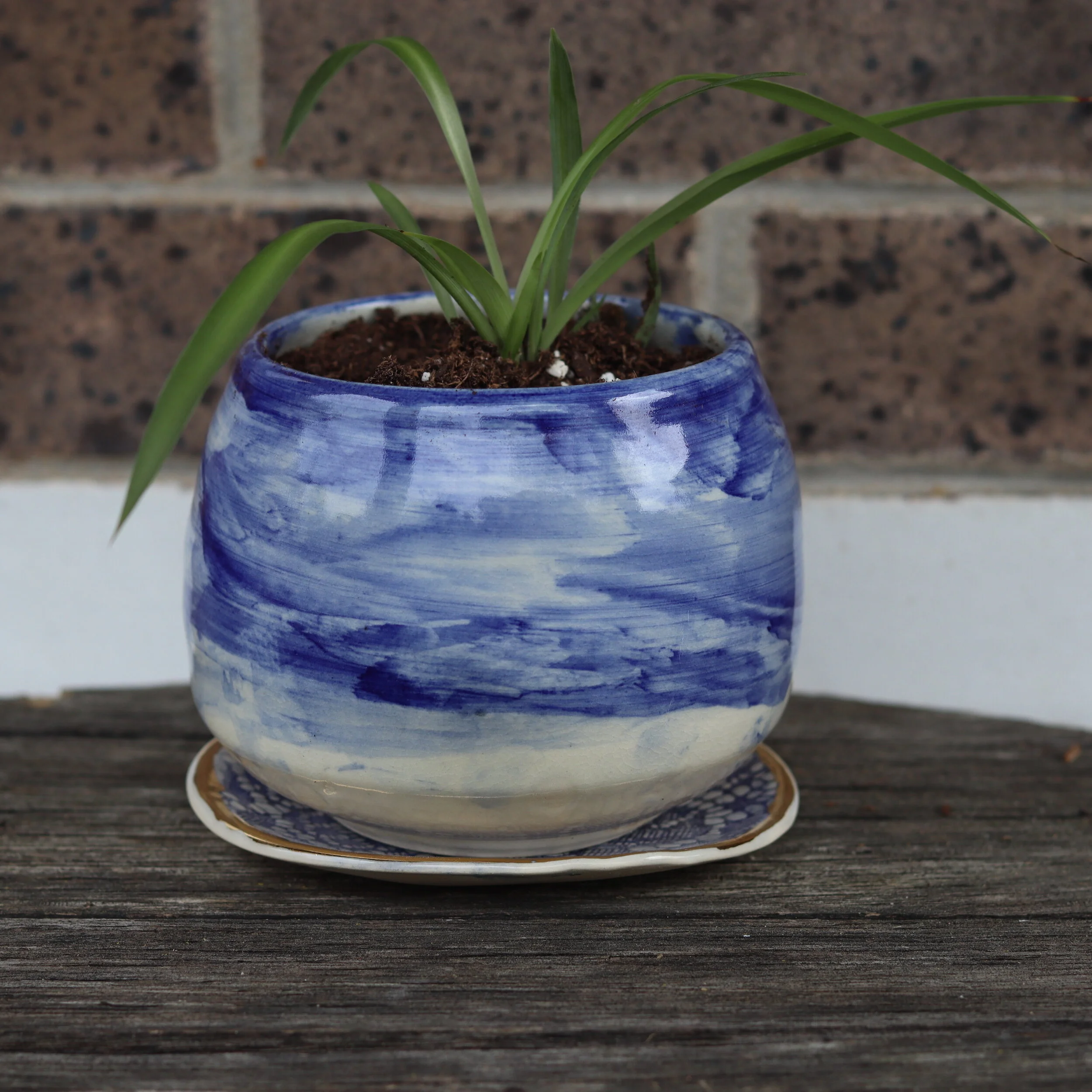 Handmade Planter with Spider Plant 