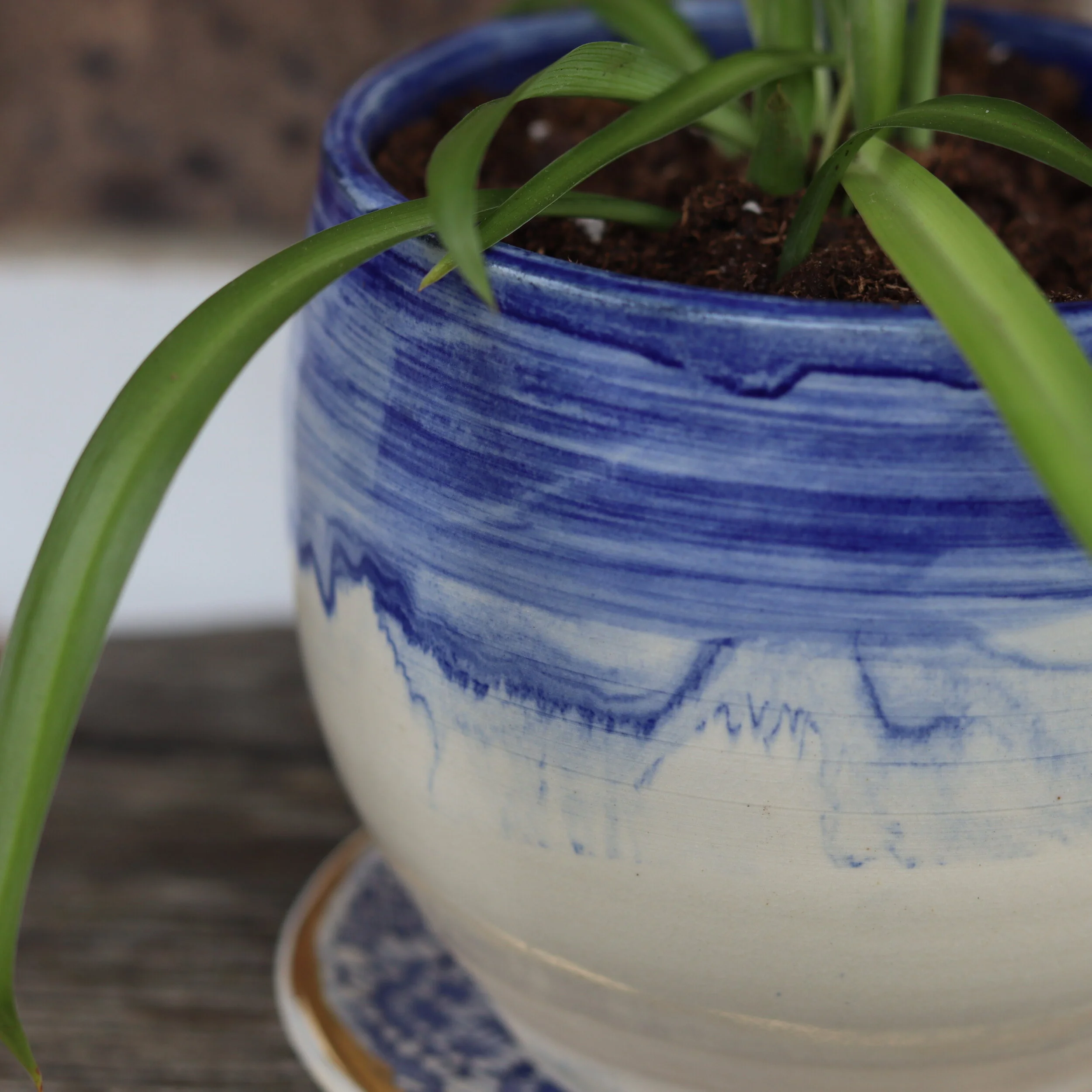 Handmade Planter with Spider Plant 