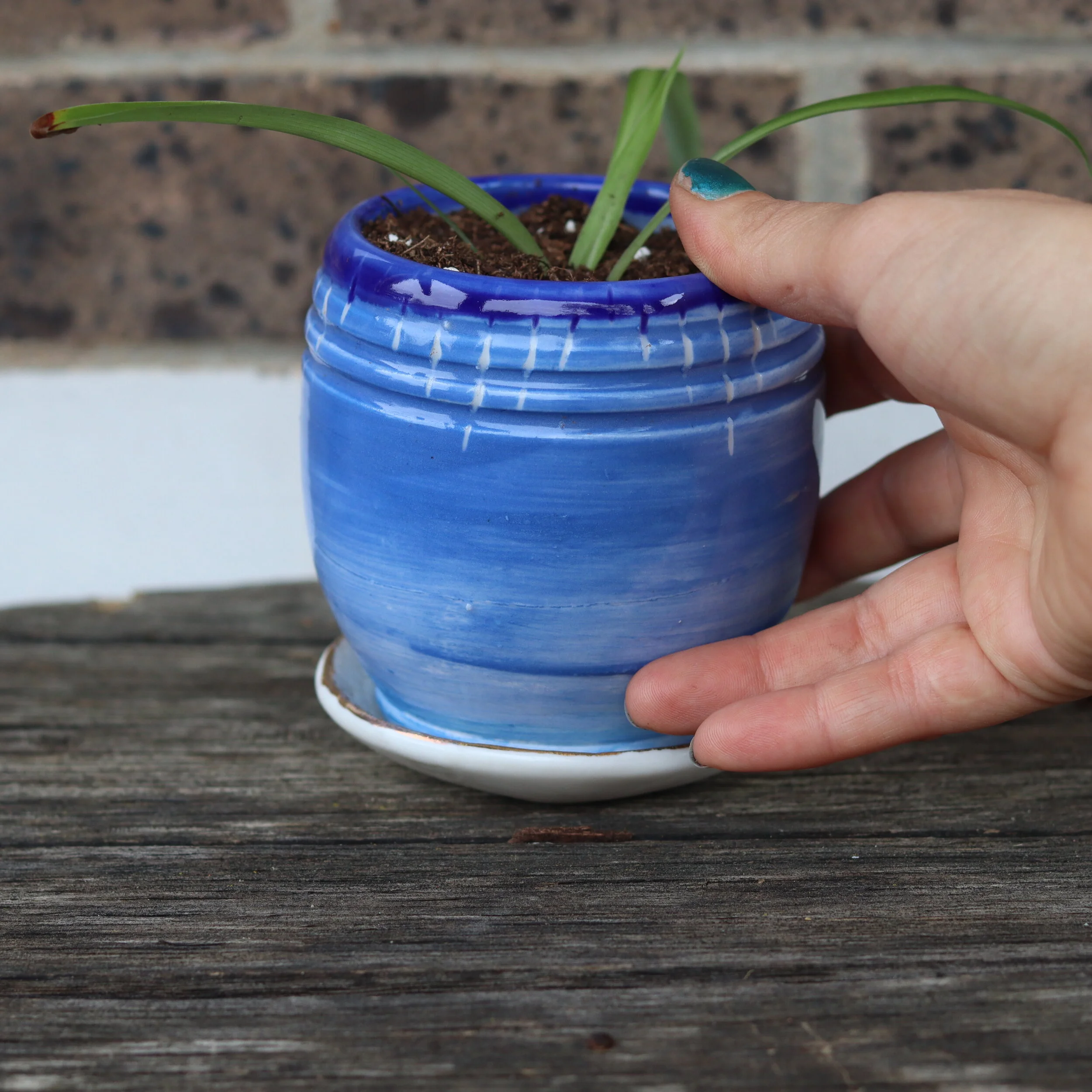 Handmade Planter with Spider Plant 