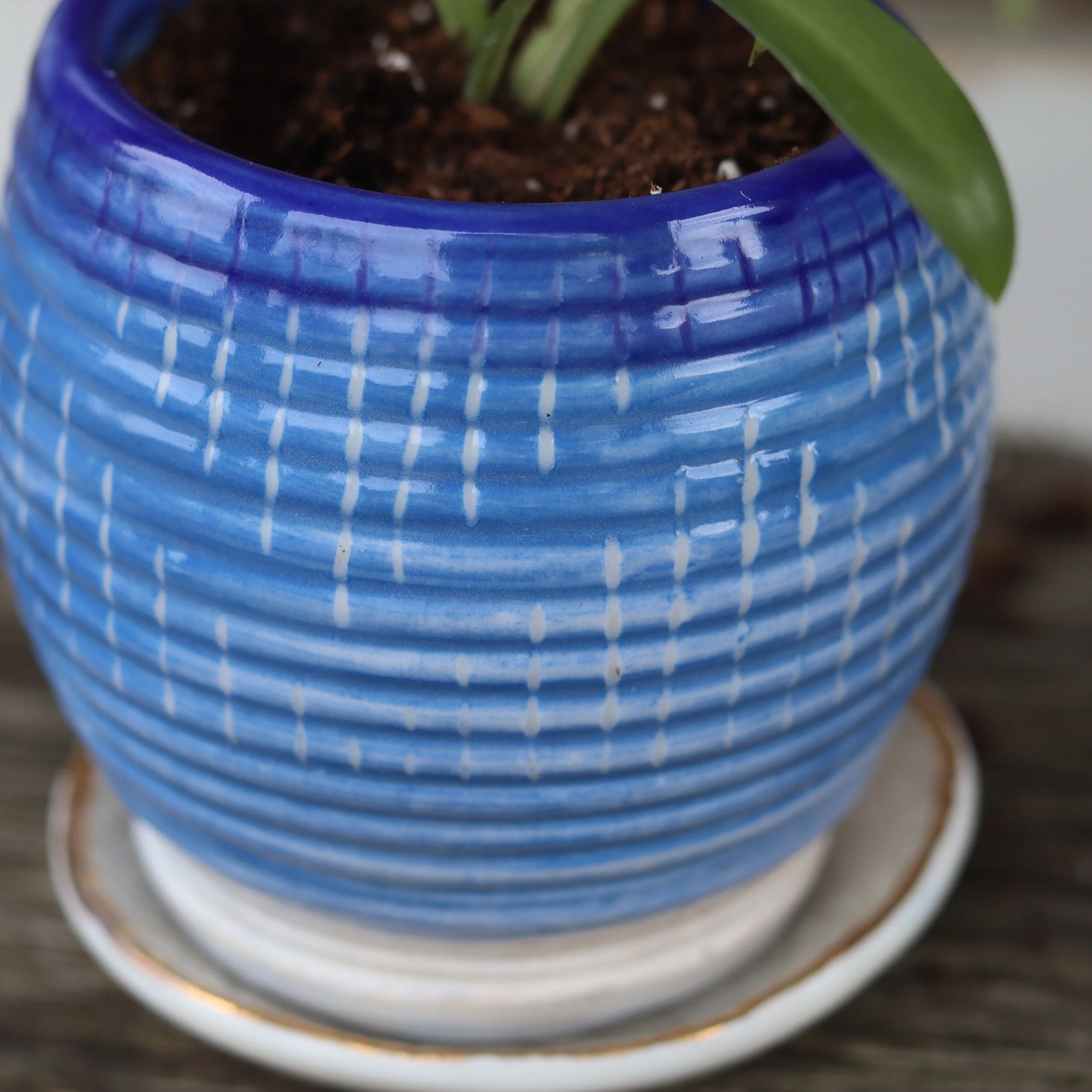 Handmade Planter with Spider Plant 