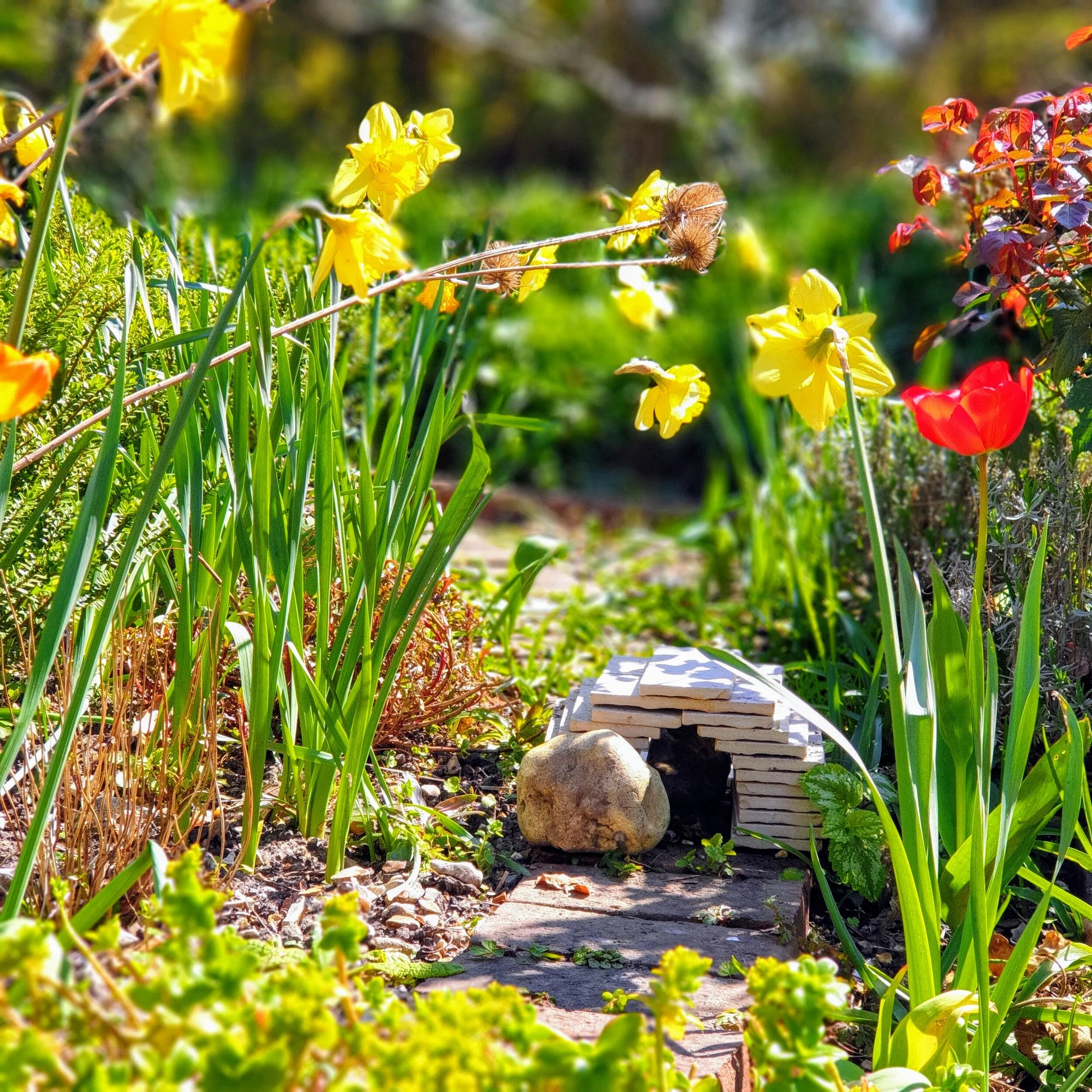 Easter Garden Gallery