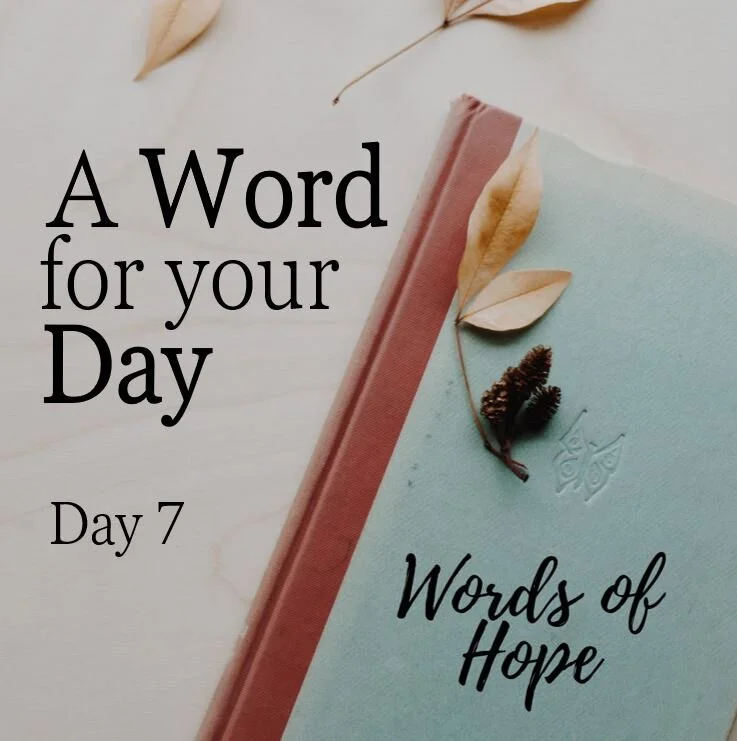 Day 7