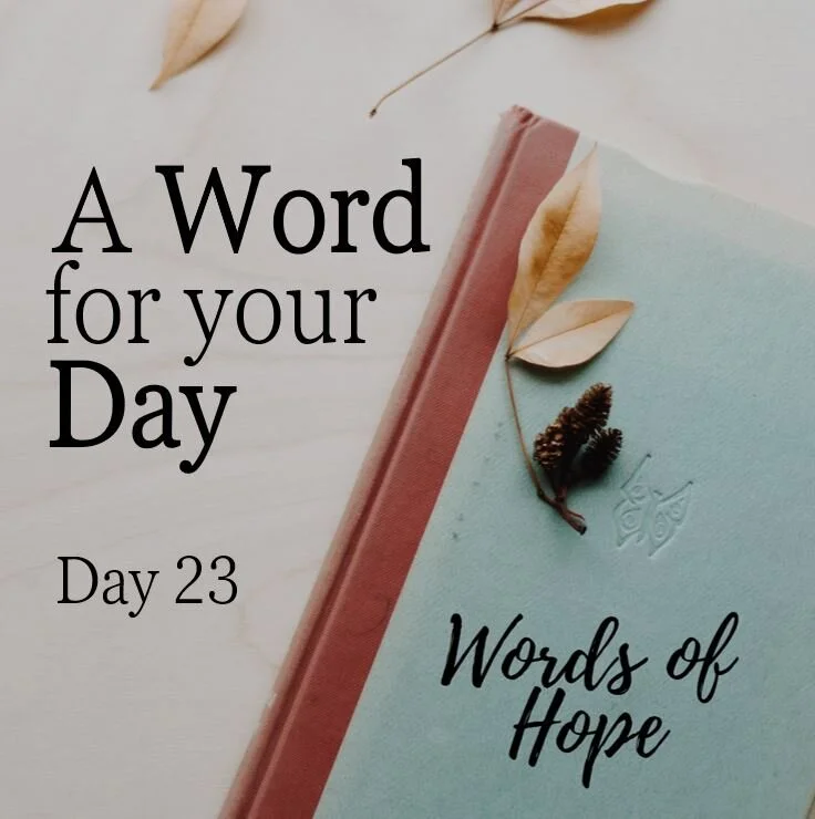 Day 23