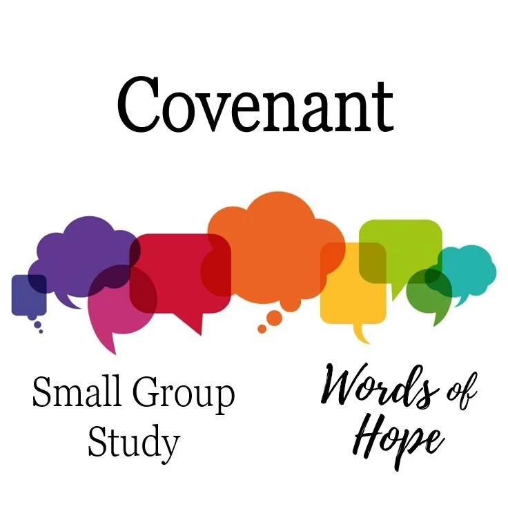 Covenant (Small Group Study)  