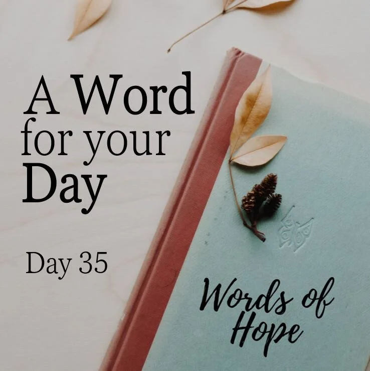 Day 35