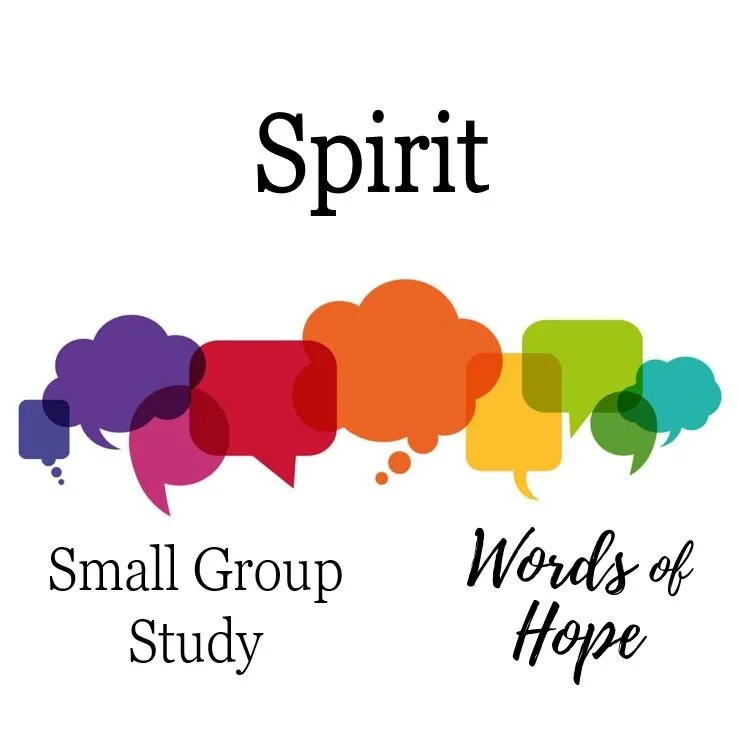 Spirit (Small Group Study) 