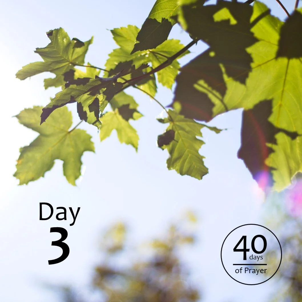 40 Days of Prayer - Day 3