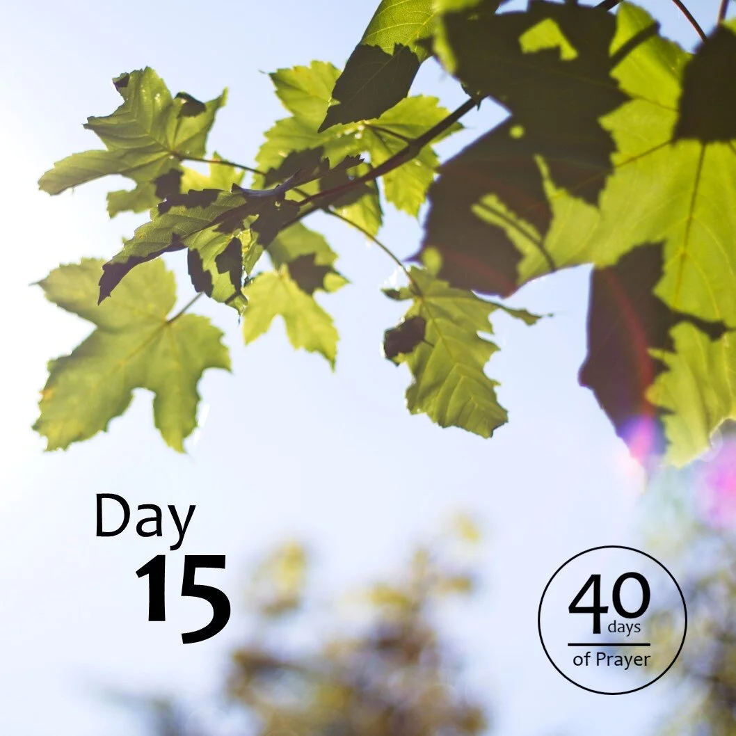 40 Days of Prayer - Day 15