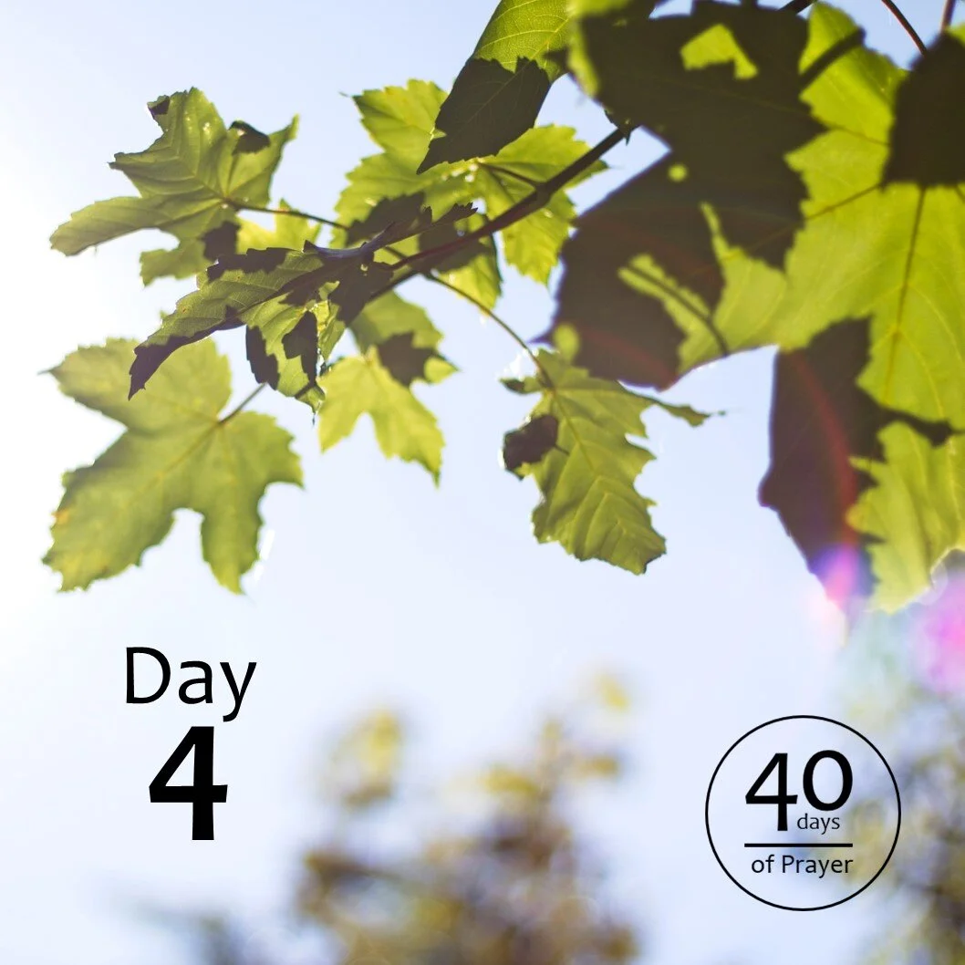 40 Days of Prayer - Day 4
