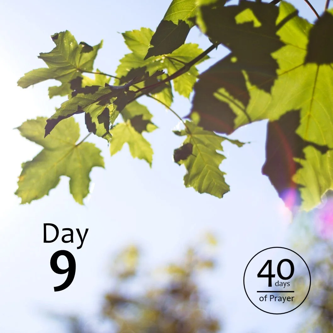 40 Days of Prayer - Day 9