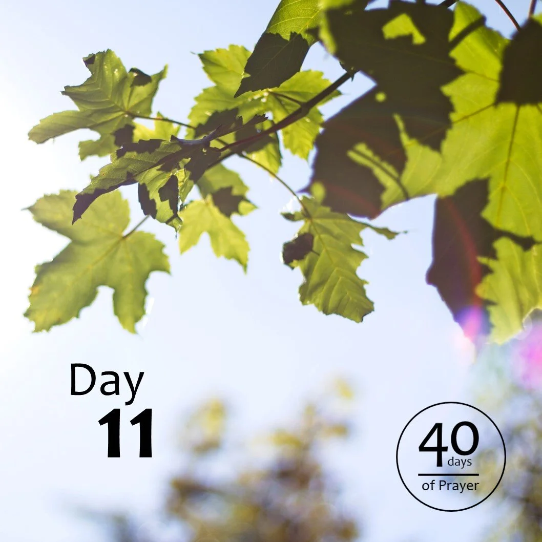40 Days of Prayer - Day 11