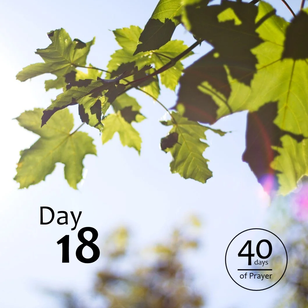 40 Days of Prayer - Day 18