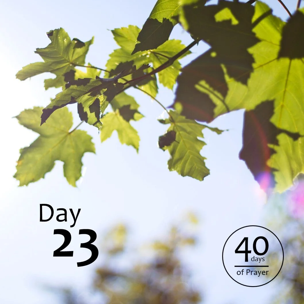 40 Days of Prayer - Day 23