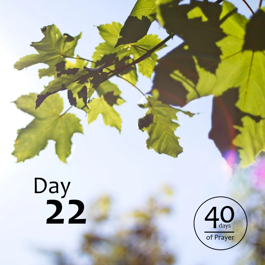 40 Days of Prayer - Day 22