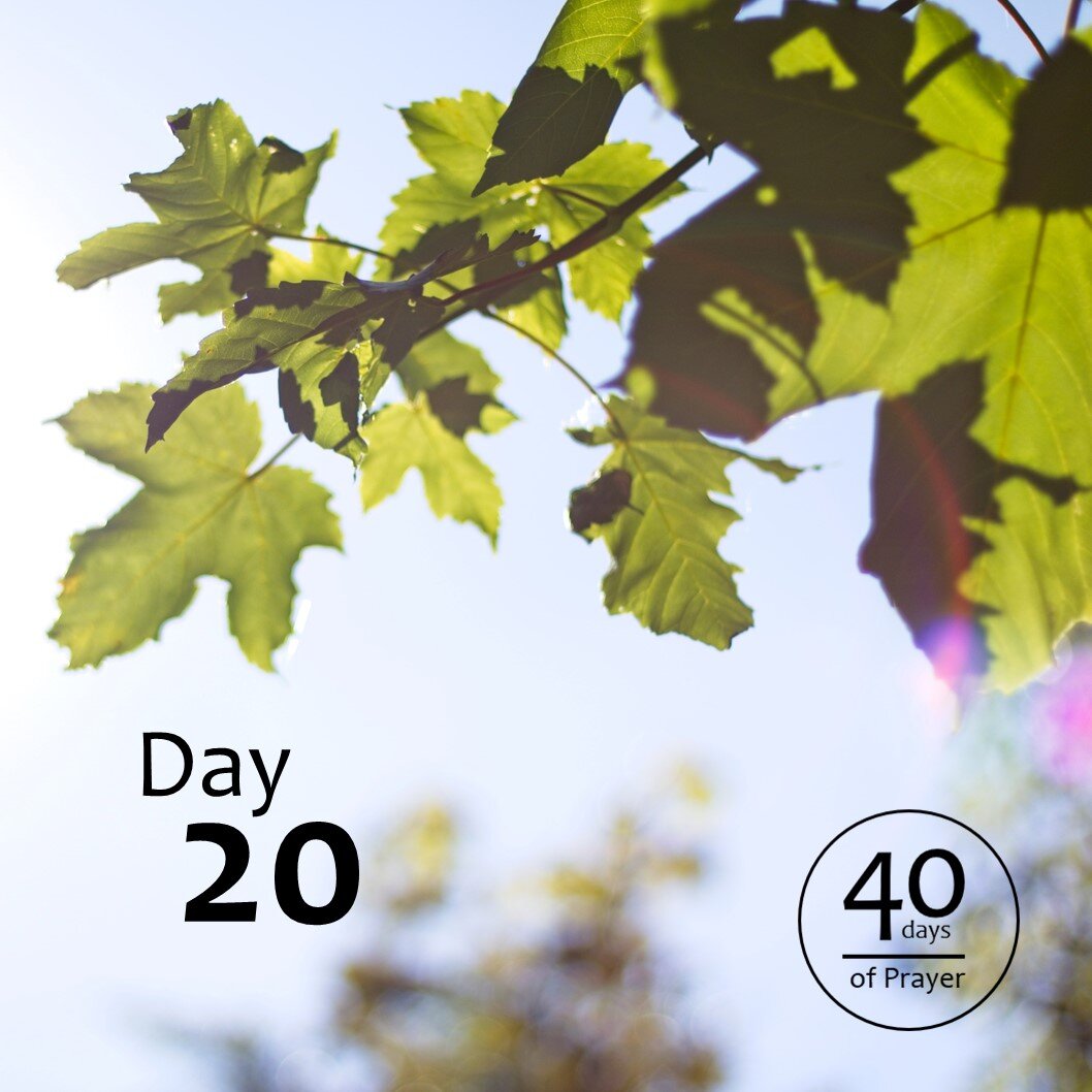 40 Days of Prayer - Day 20