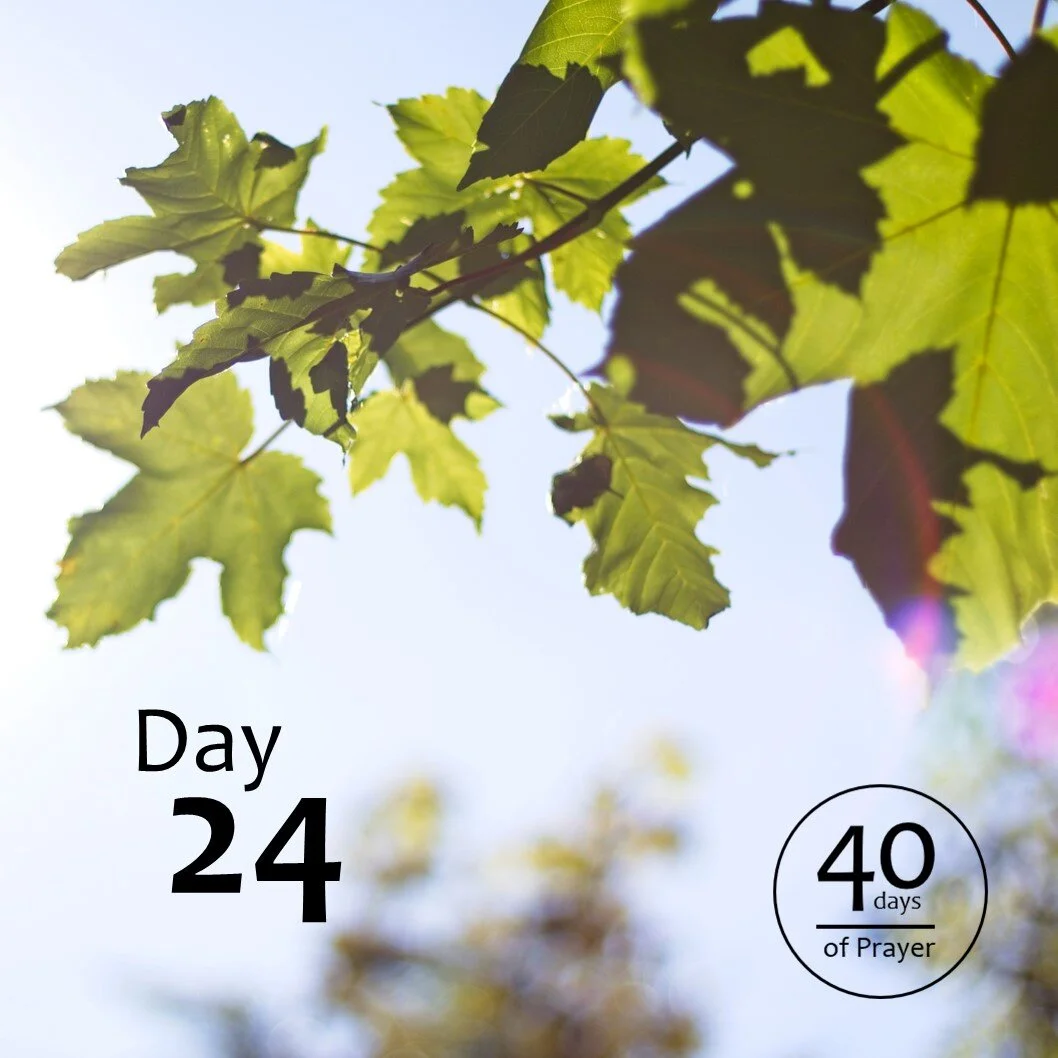 40 Days of Prayer - Day 24