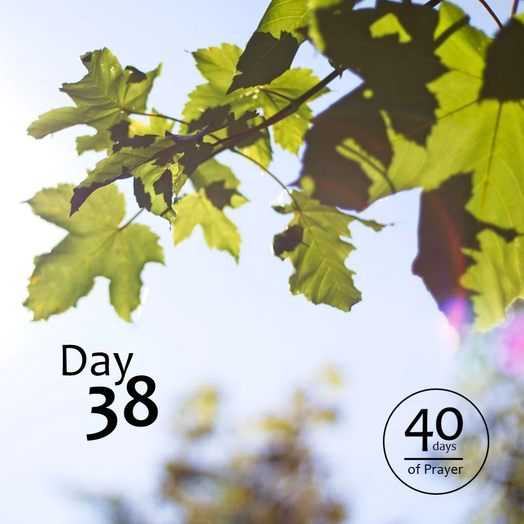 40 Days of Prayer - Day 38