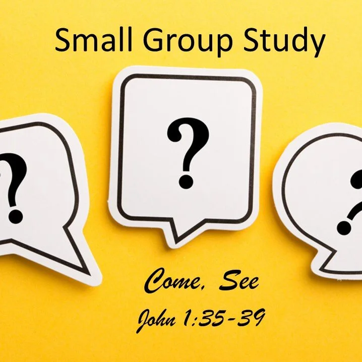 Come, See  (Small Group Study)   