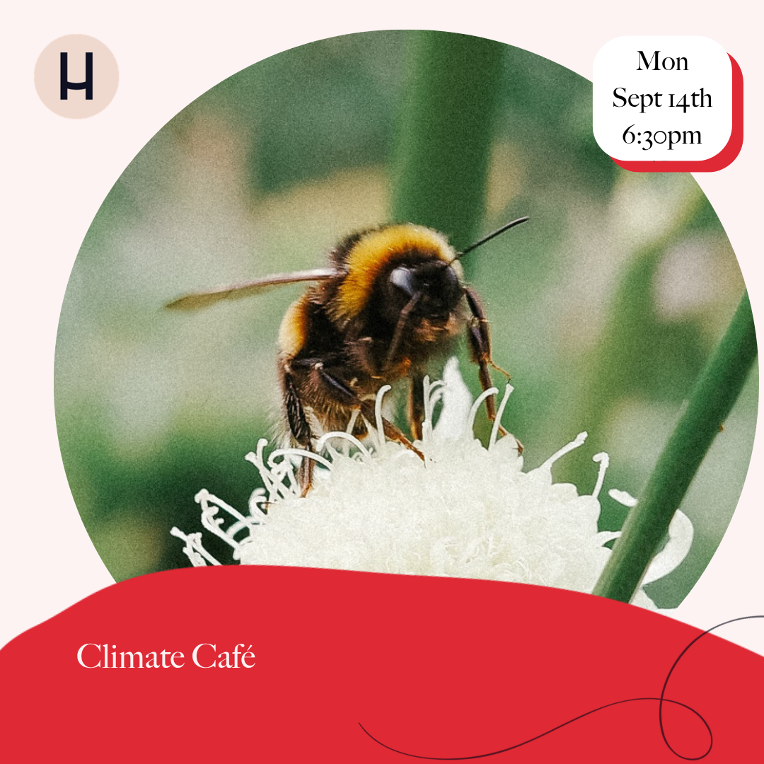 Climate Café