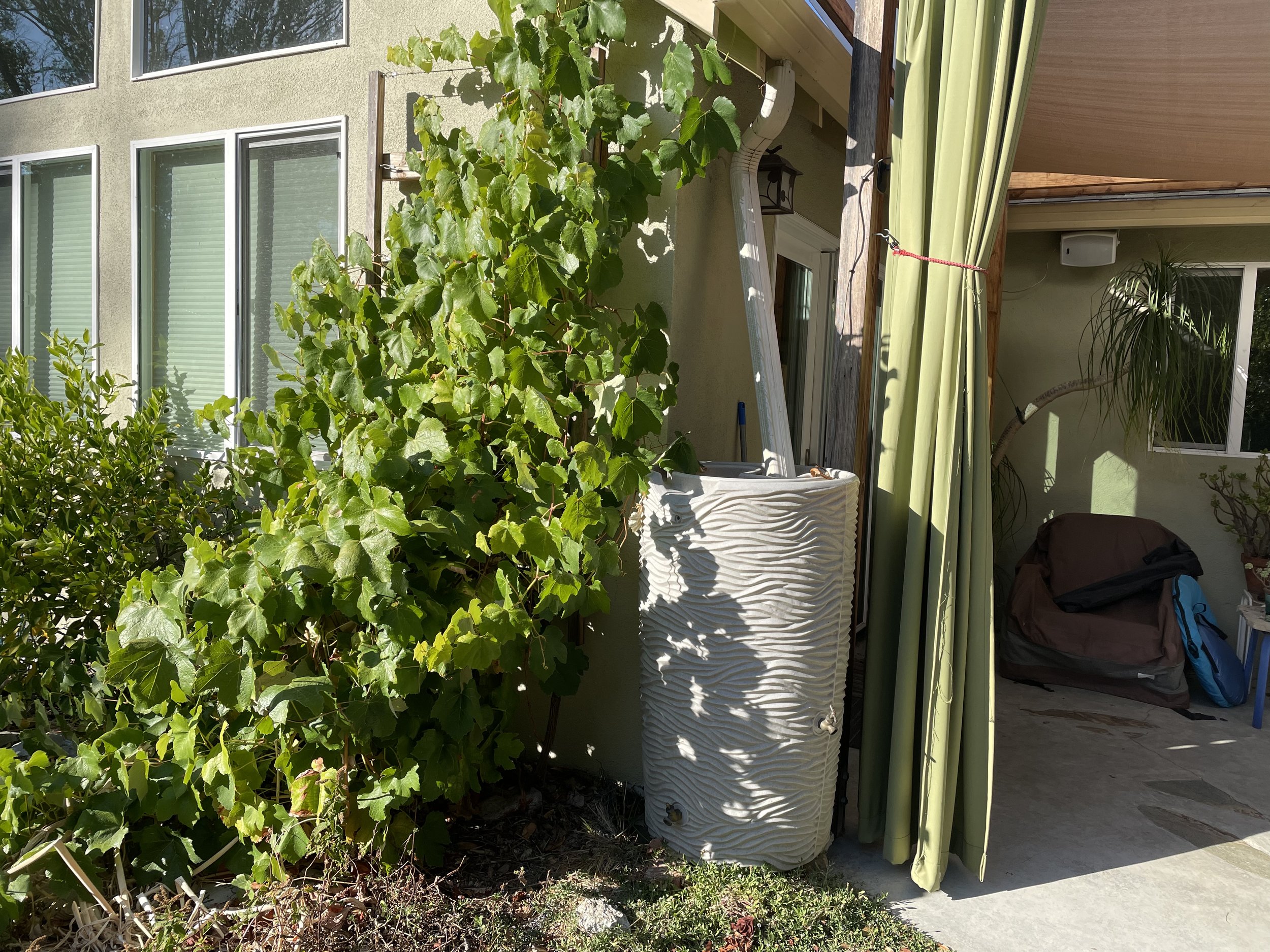 Rain Water Harvesting by Colleen Rodger