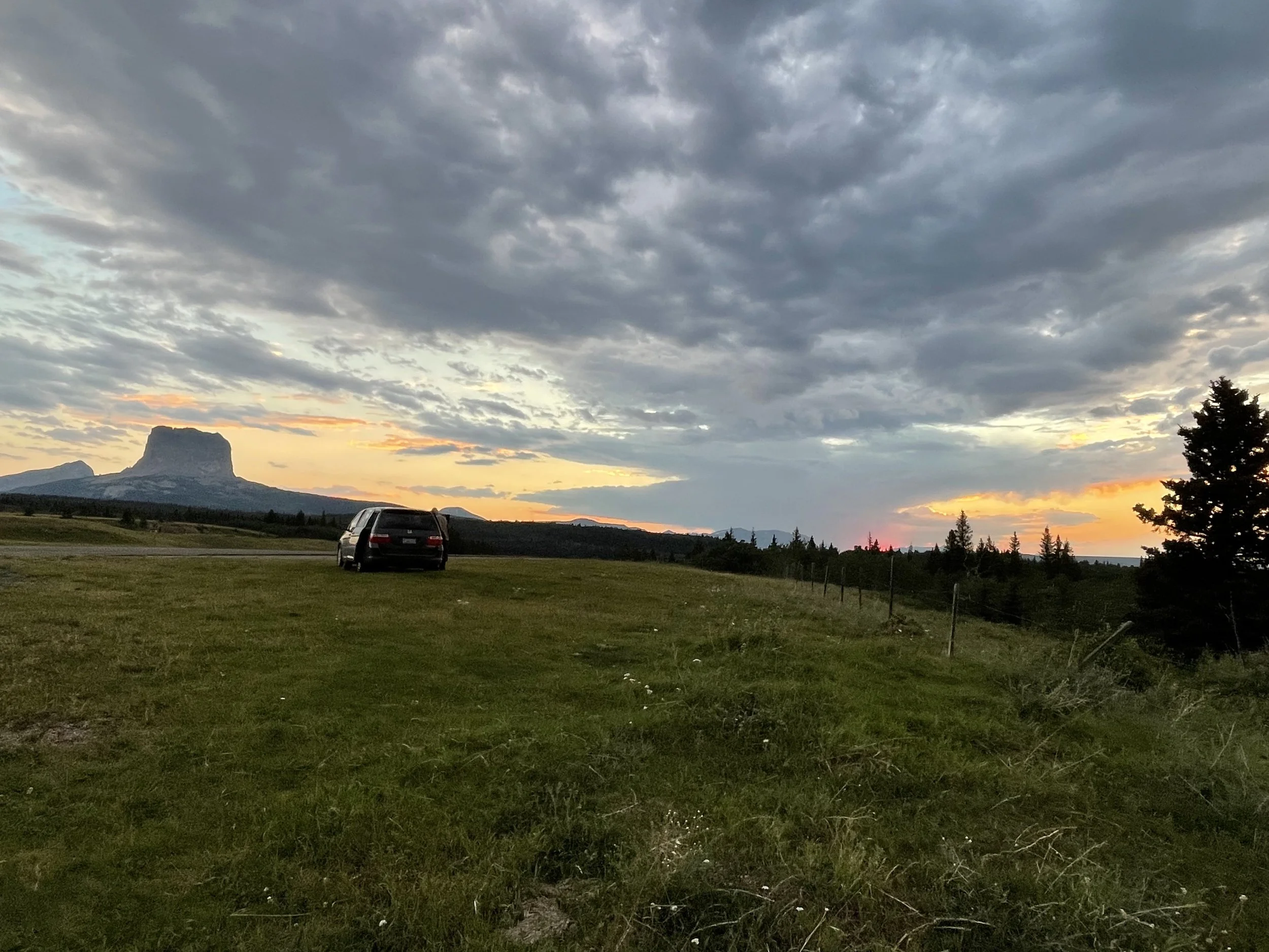 Few Plans or Reservations by Nancy Lemon