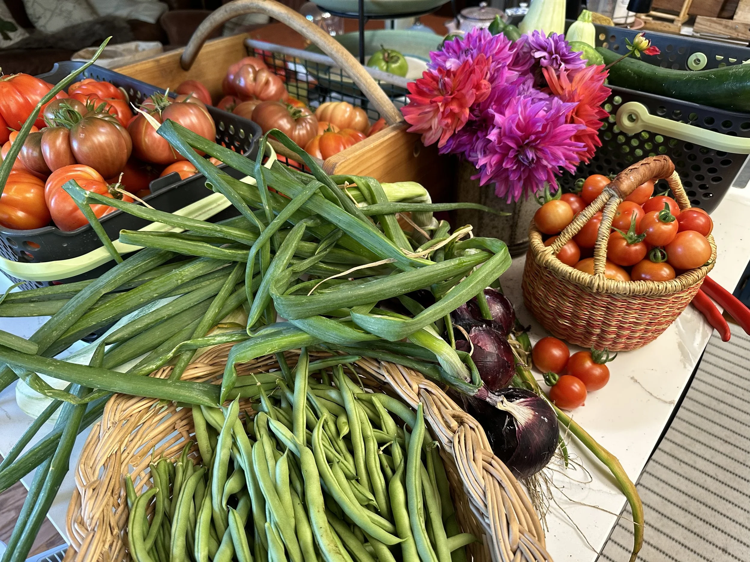 The Seven Of Pentacles&nbsp;by Marge Piercy