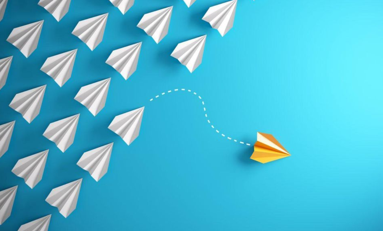 Key Values of the Client Partnership Model: Broad Focus