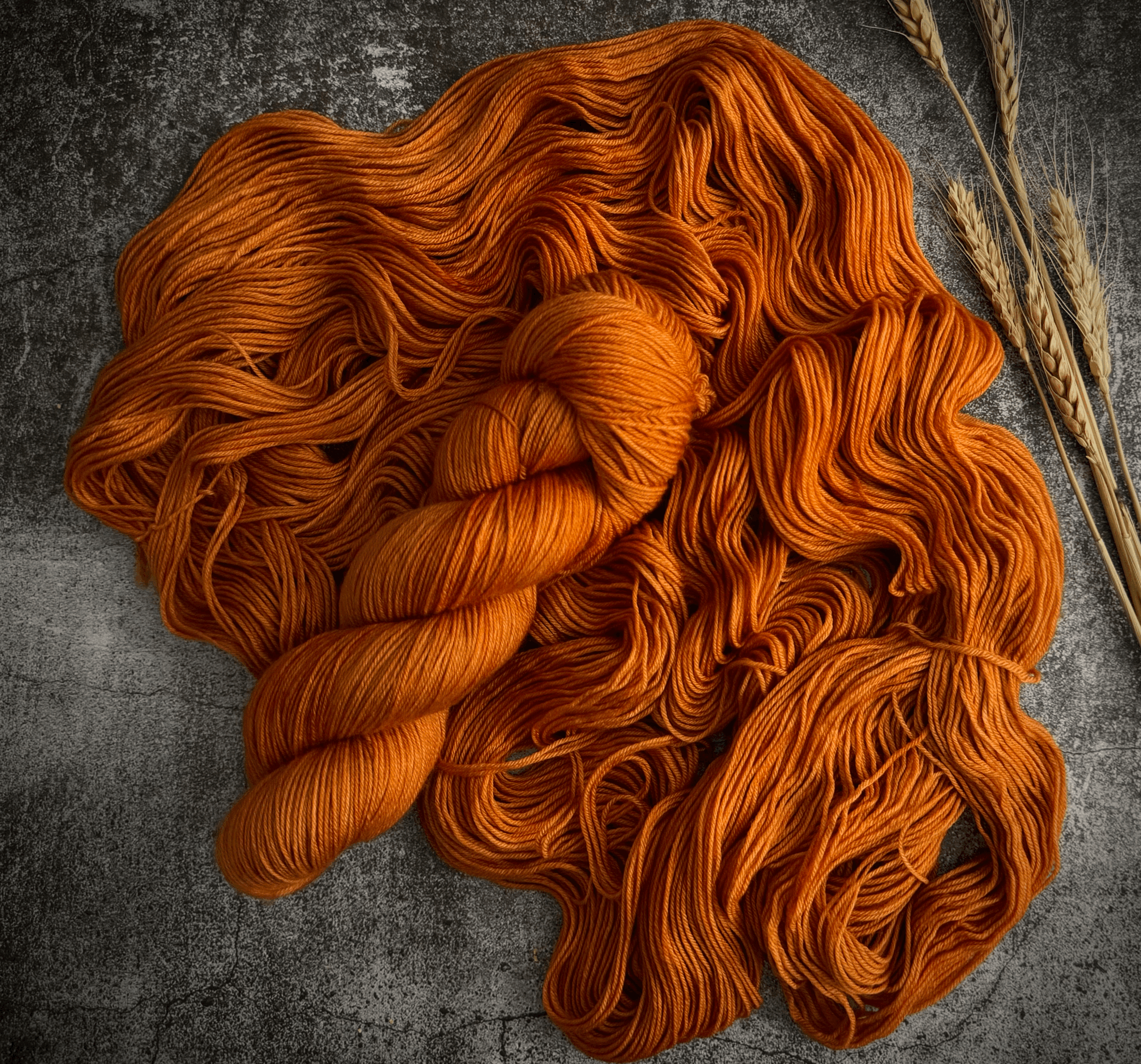 MANGO | Retro Tonals Collection