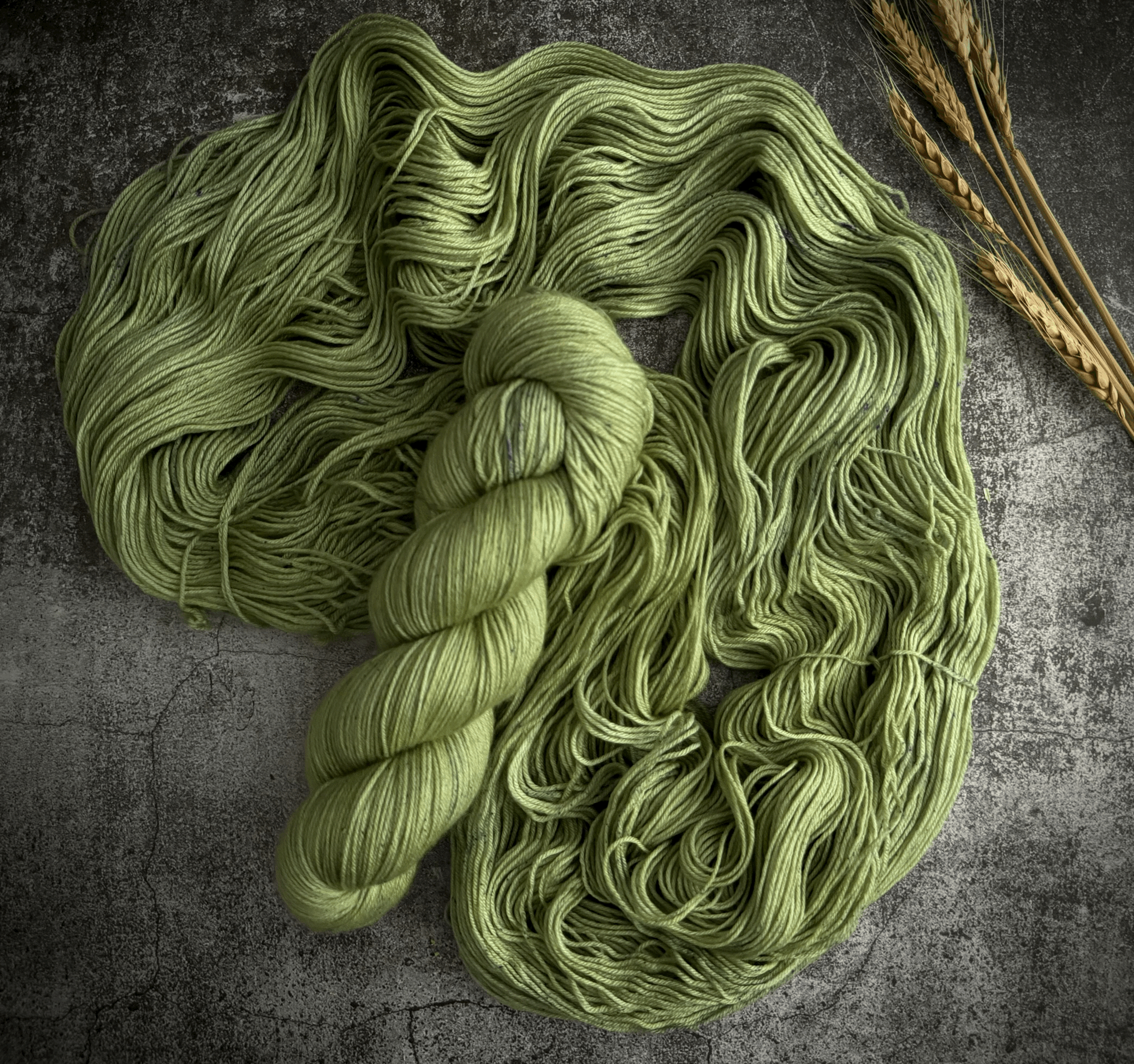 LIMESTONE | Retro Tonals Collection