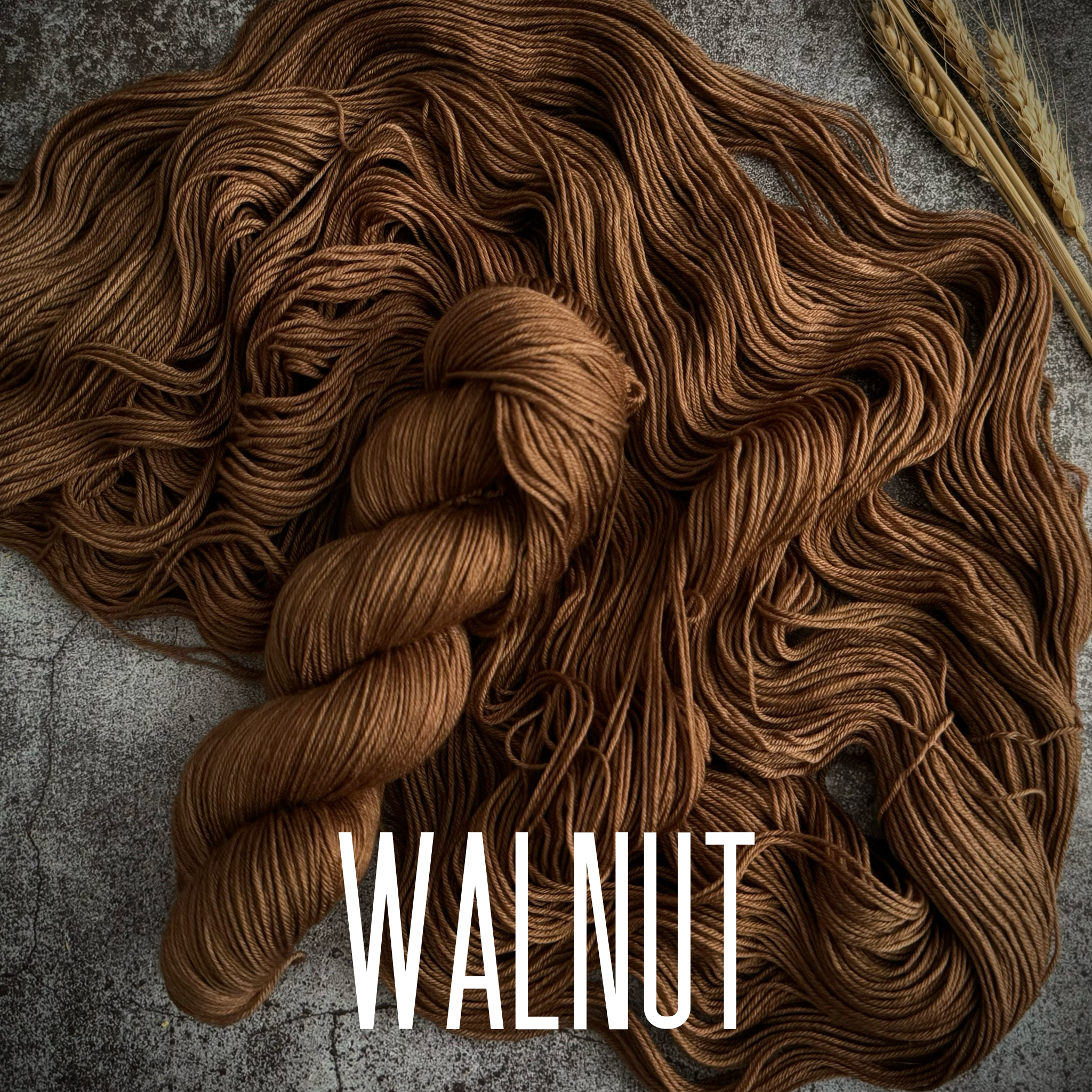 Walnut 2.PNG