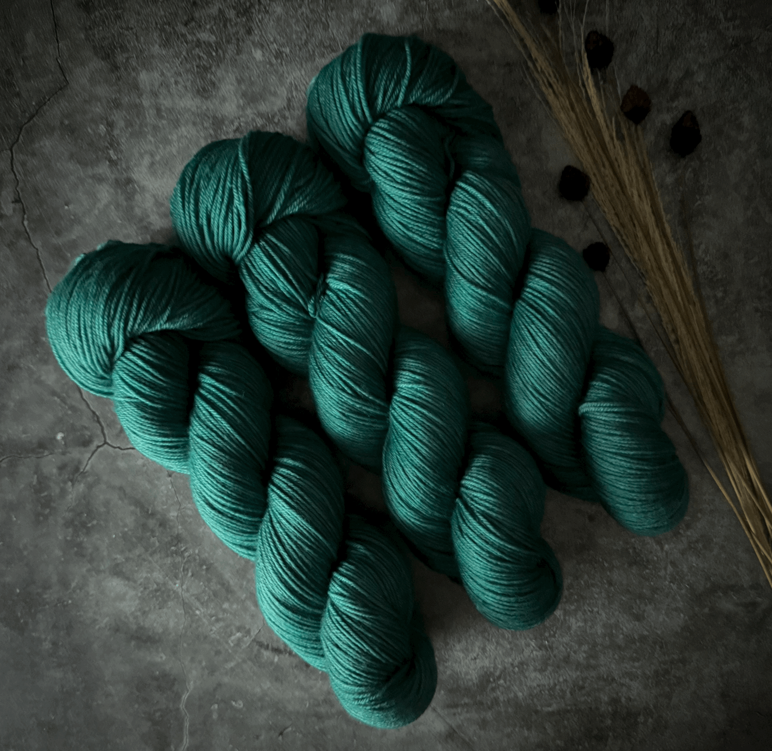 FOREST | Early Autumn Collection