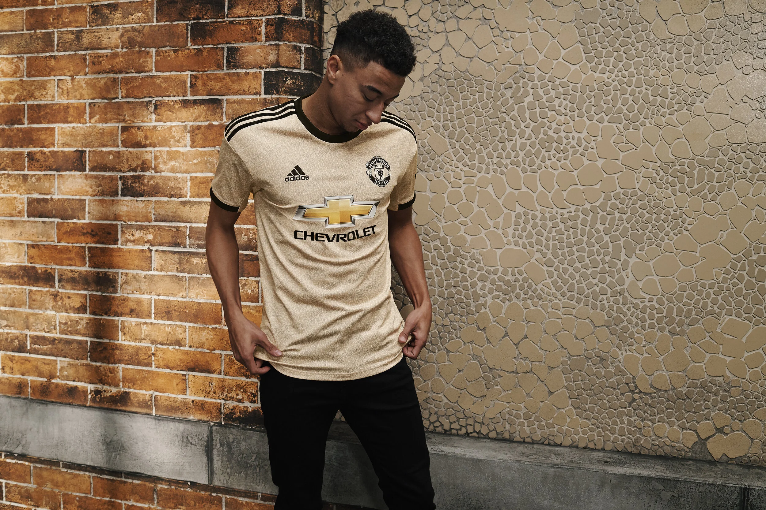 Lingard_331 V2.jpg