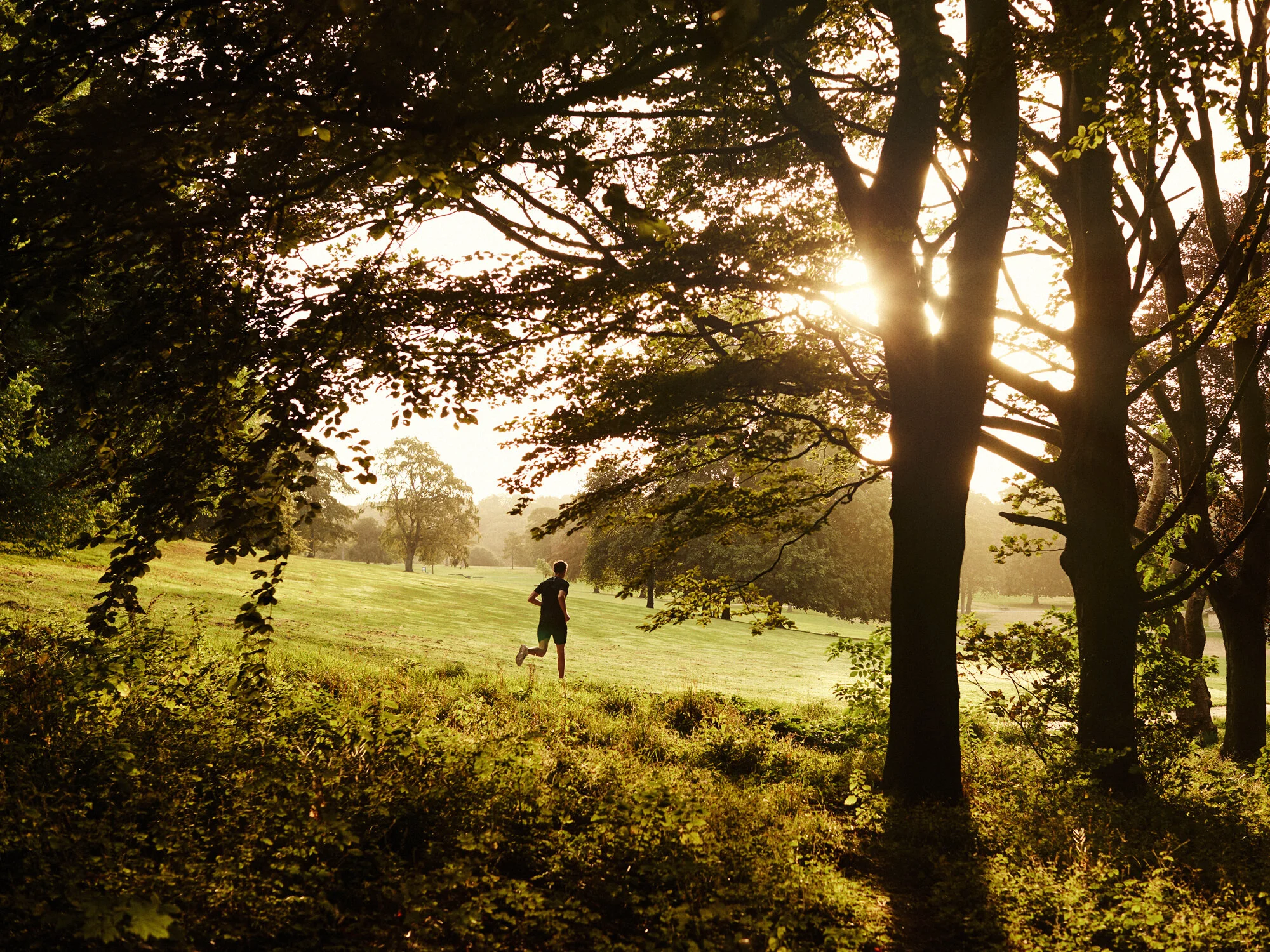 STRATA_2019_03_MORNING_RUN_0442.jpg