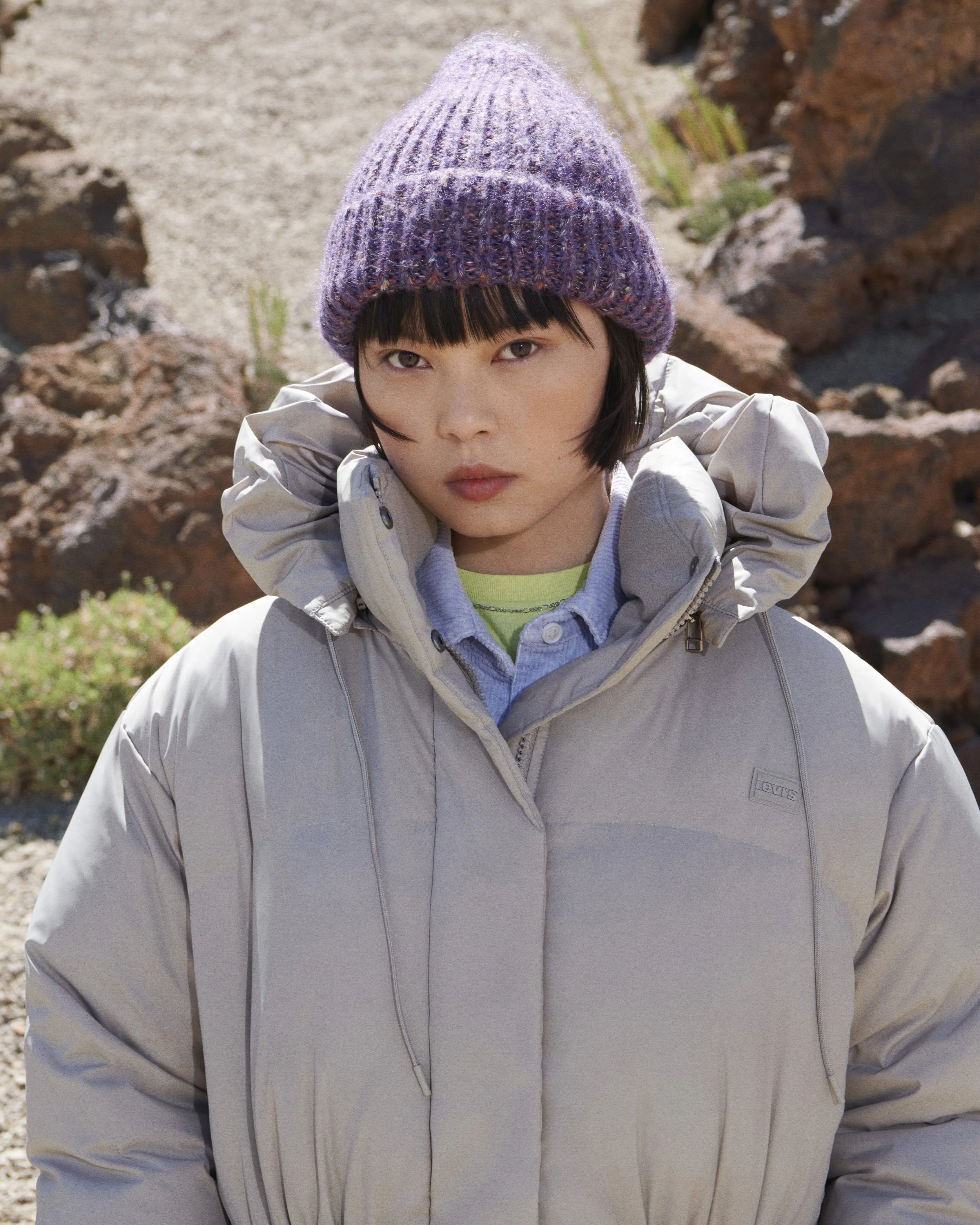LEVIS_TNF_D1_DESTINATION_L_12_4215f1.jpg