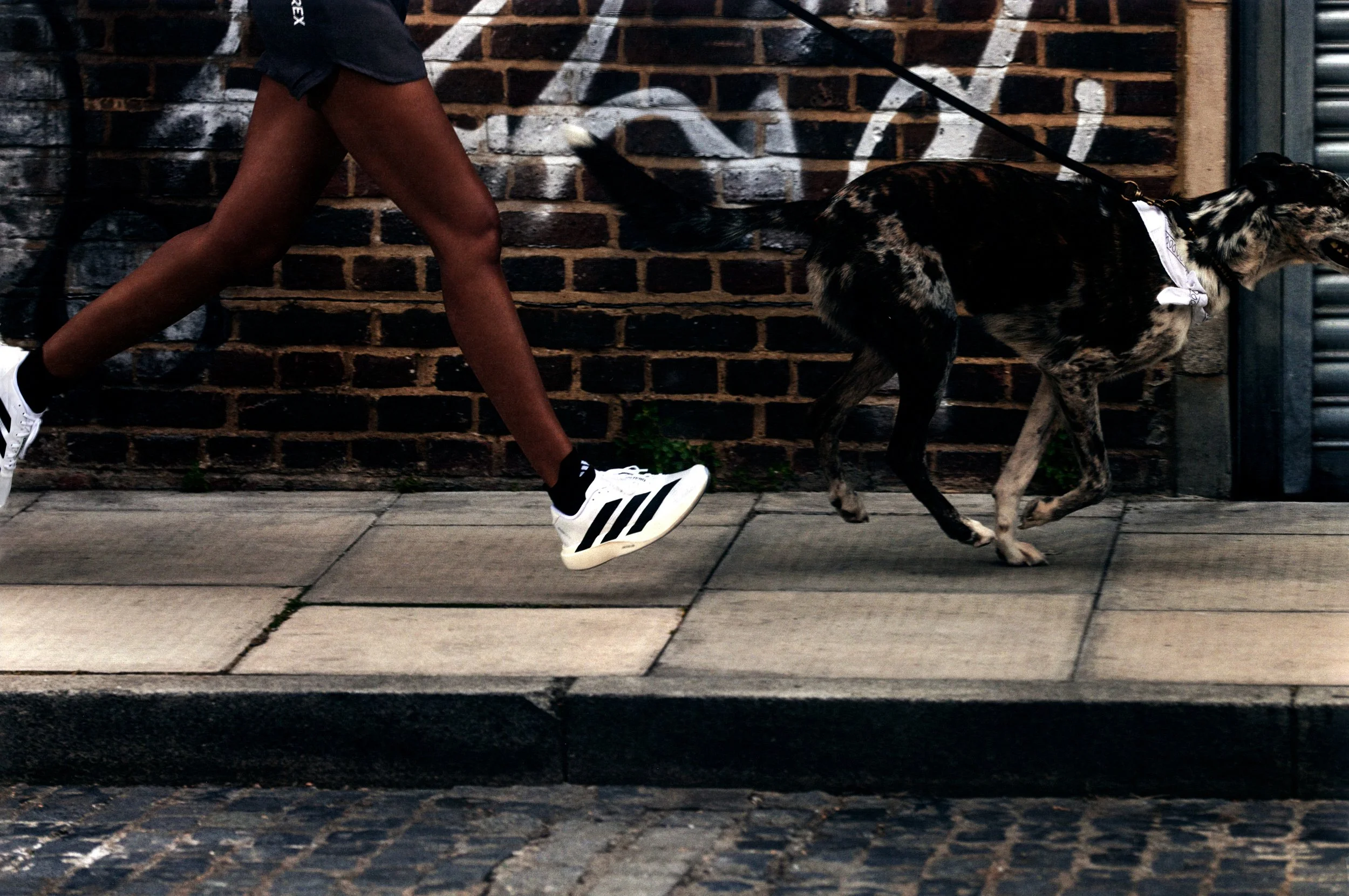 _20240820_ADIZERO_BERLIN24_PRO_4_1963_F1d.jpg