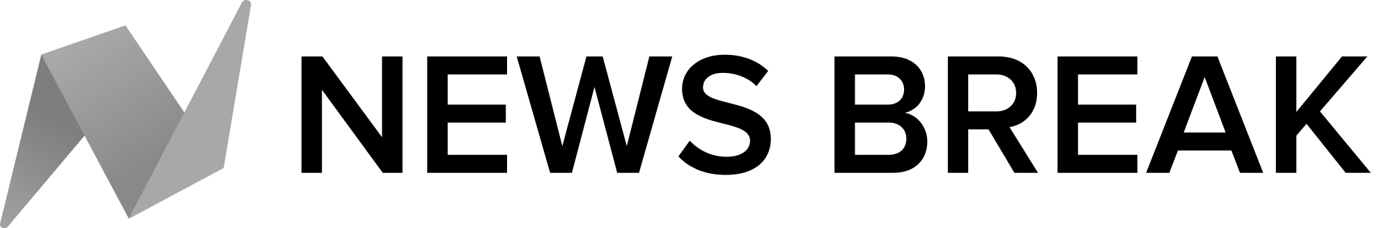 Newsbreak-ONA20-Logo-9-17.png