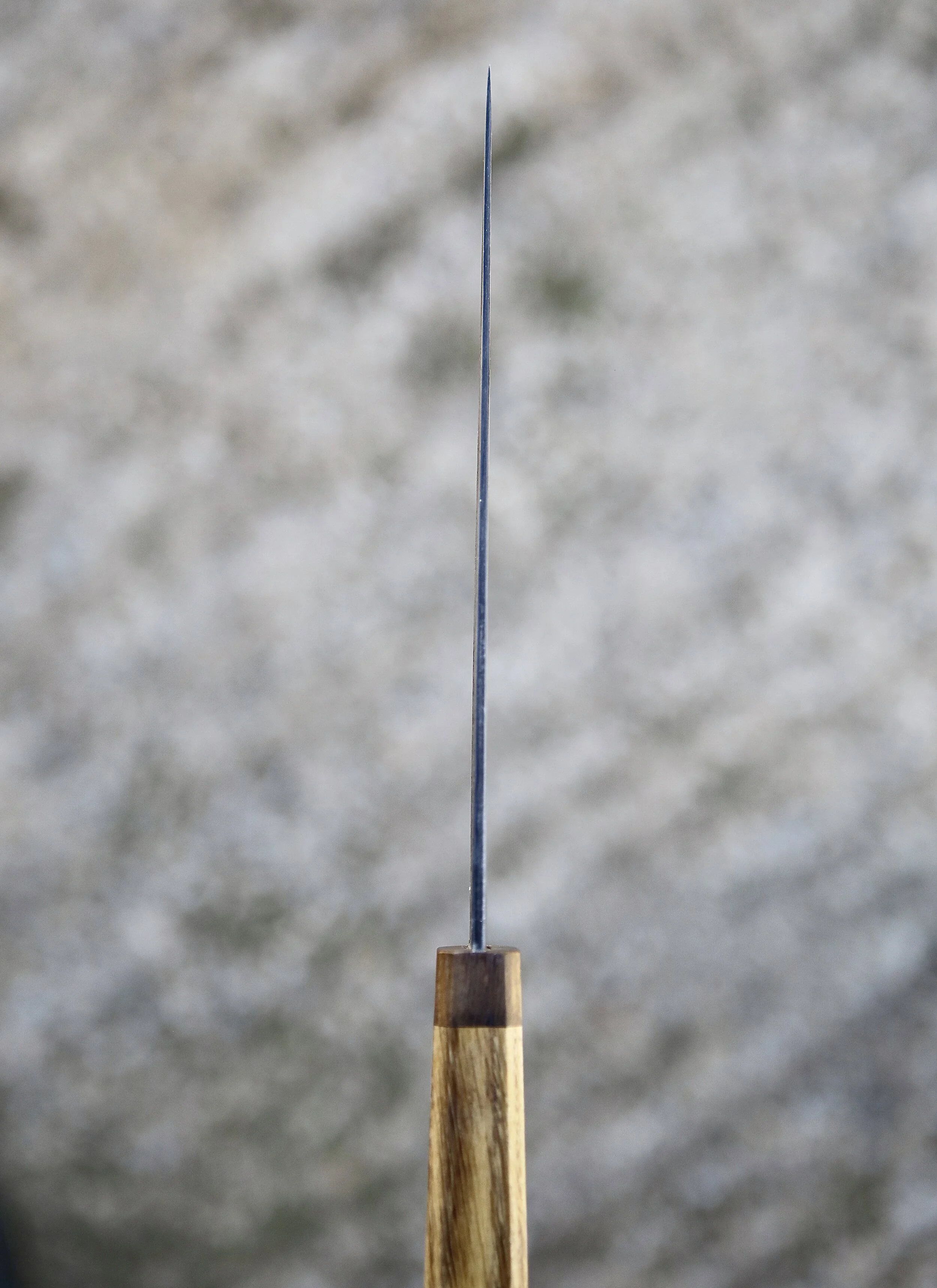 F1B6EA2F-45F3-4E61-A611-CE6047E9733D