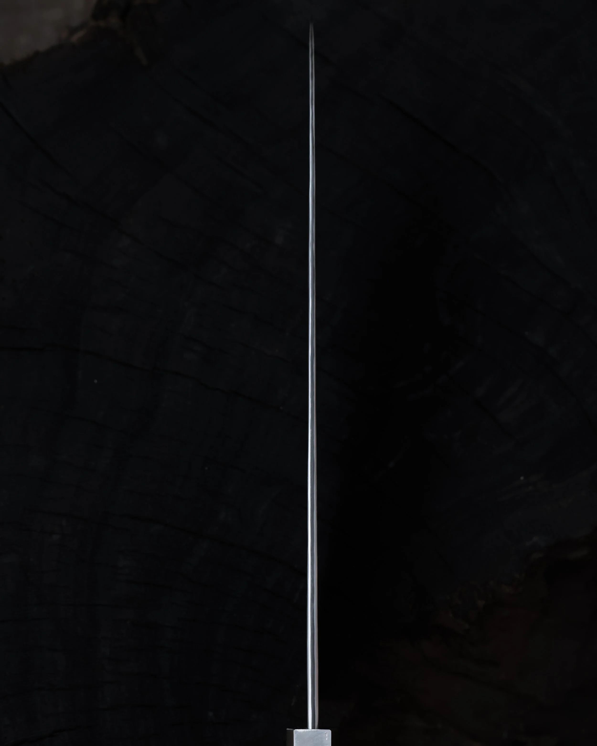 RS9A6013.jpg
