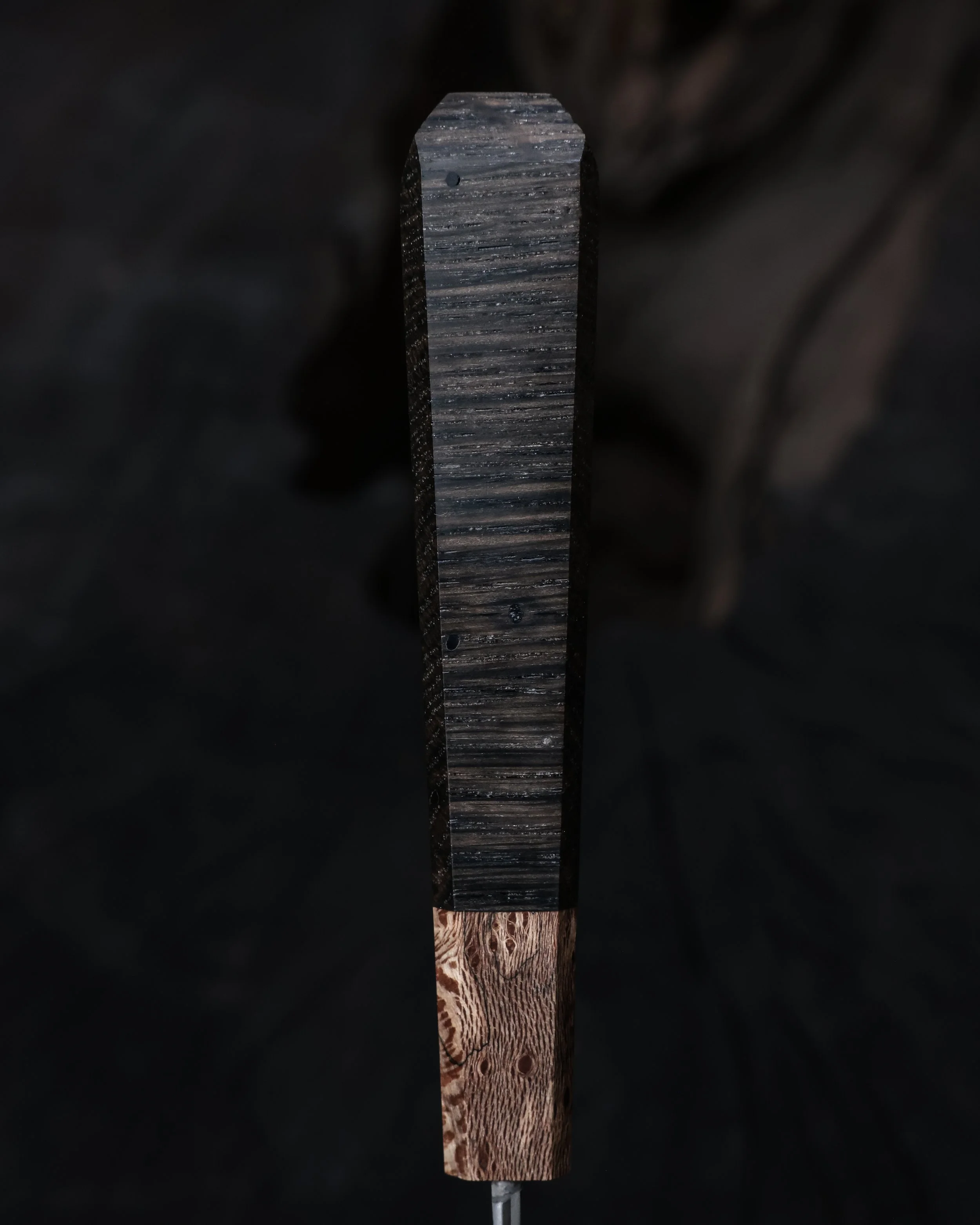 RS9A6092.jpg