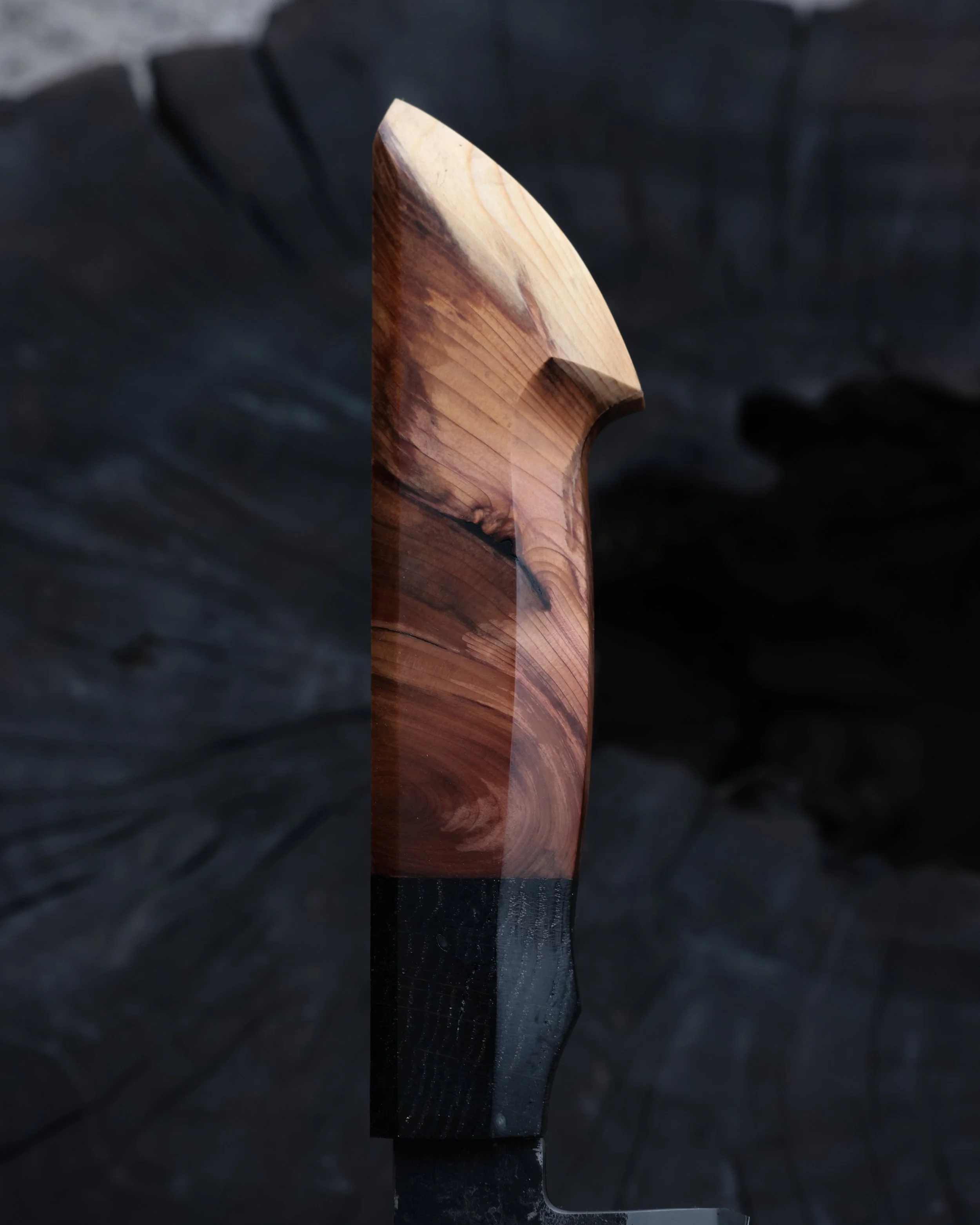 RS9A5896.jpg